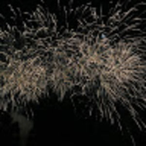 Meet your Posher, Kelli